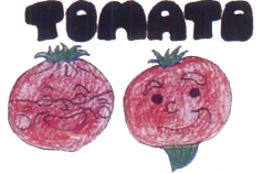 デイサービスとまと宗高